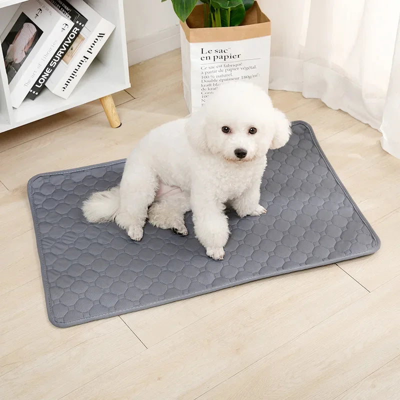 Almofada para xixi de cachorro, fralda absorvente reutilizável, lavável, almofada de treinamento para filhotes. - Domfyshop